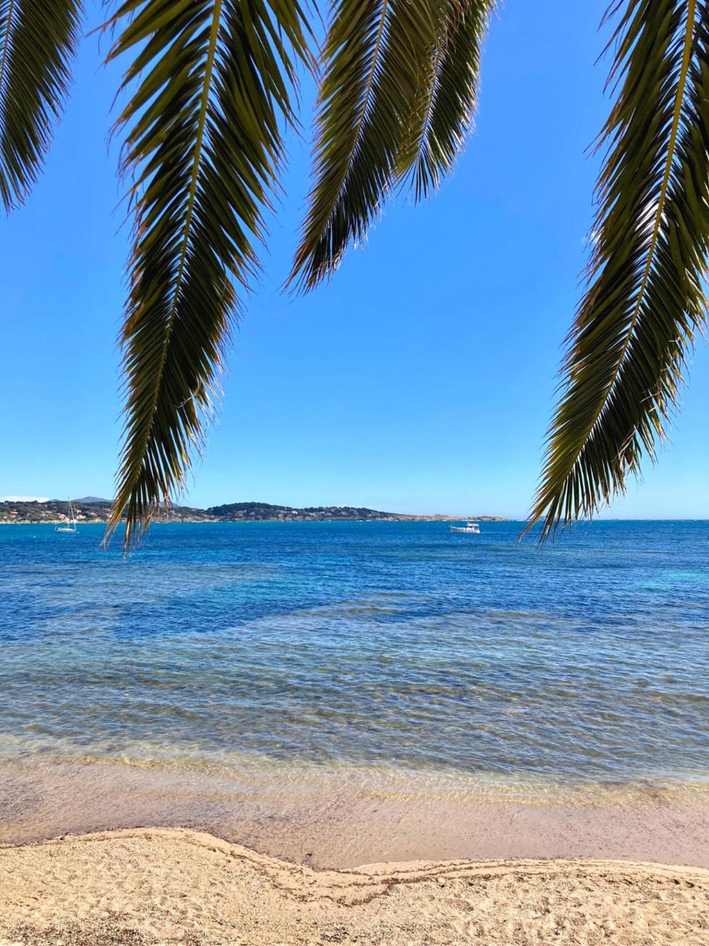 Appartement Coup De Coeur Centre Village Et Plage Climatise 3 Etoiles Terra Cigala Bandol Dış mekan fotoğraf